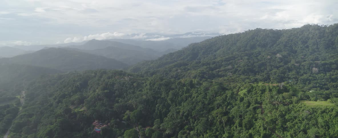 A sweeping aerial view reveals a vast, lush green tropical jungle covering rolling mountains under a hazy, overcast sky