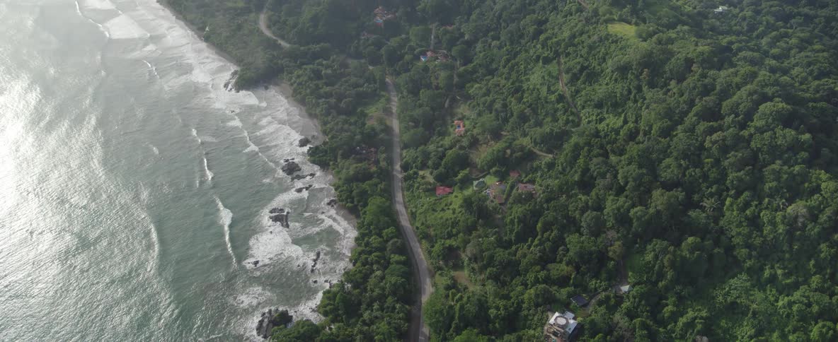 A static aerial shot captures the beautiful landscape of a coastal road nestled between a lush jungle and the ocean