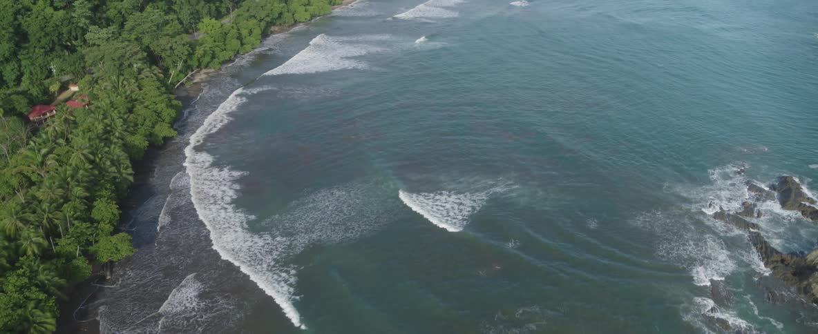 Stunning aerial view of a lush tropical coastline with a dense jungle meeting the serene ocean waves