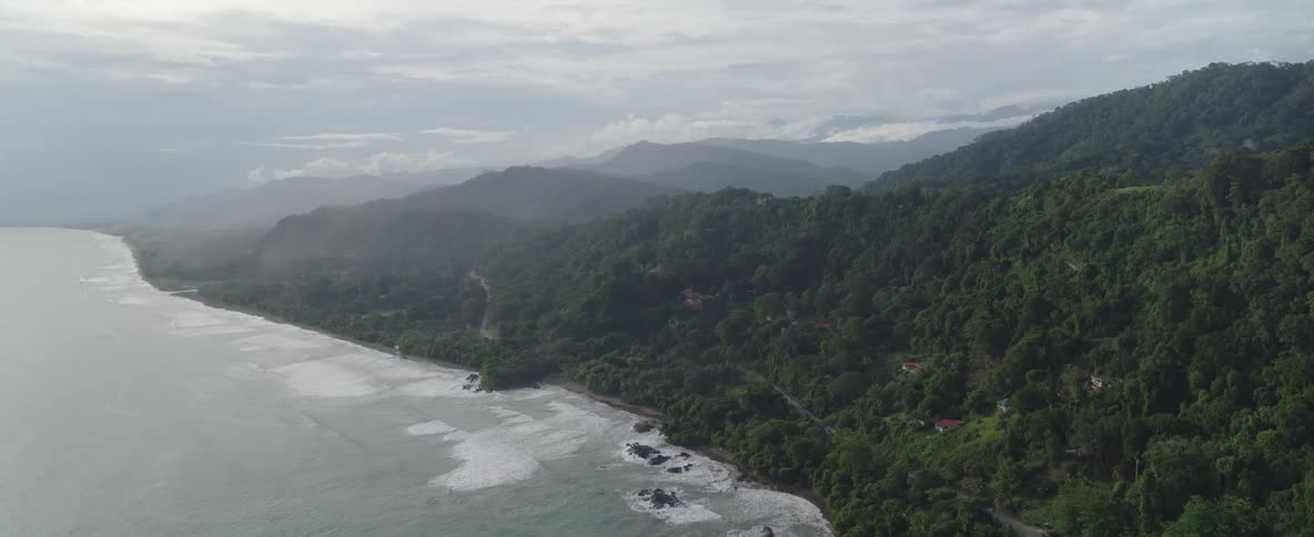 A serene aerial view captures the meeting of a lush tropical jungle and the vast ocean along a misty coastline