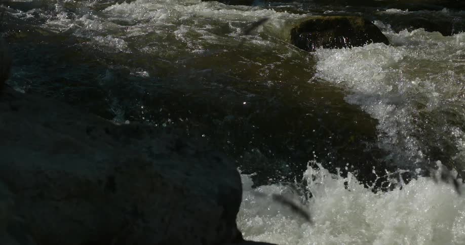 The rapids have fast water that is crashing around