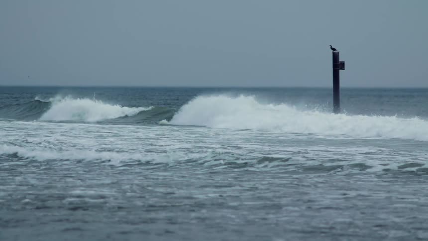 A bird sits on a post while waves crash past it