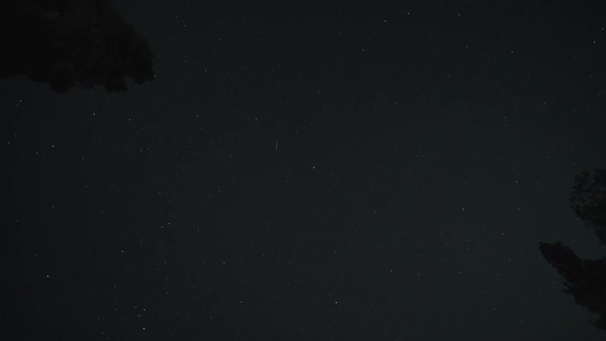 A timelapse of stars rotating through the night sky as seen from below silhouetted trees