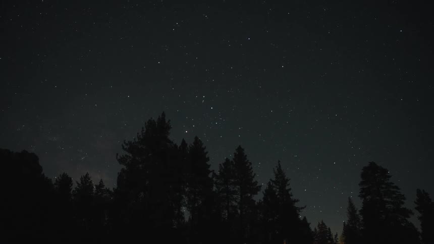 A tranquil night sky full of twinkling stars hangs over a silhouetted forest