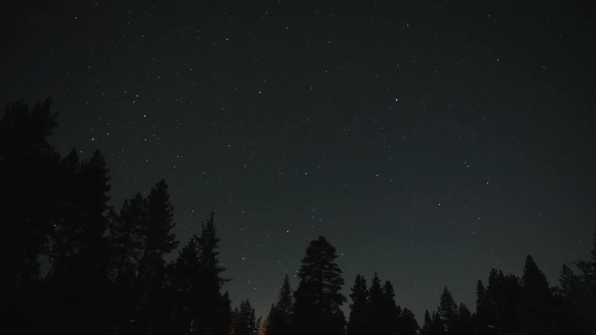 A peaceful timelapse captures stars, satellites, and meteors traversing the night sky above a silhouetted pine forest