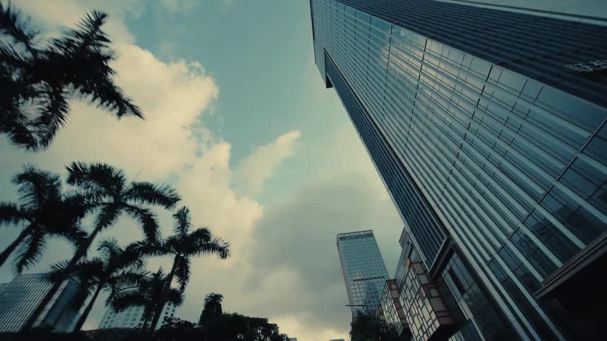A stylized, low-angle tracking shot moves backward past silhouetted palm trees, revealing a modern glass skyscraper against a cloudy sky