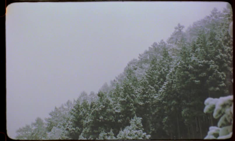 Vintage film shot of a dense, snow-covered forest on a mountainside during a gentle snowfall