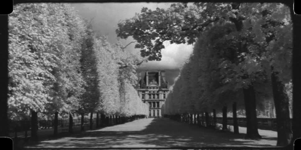 Vintage black and white 16mm infrared footage of a long, tree-lined path leading to a grand European palace