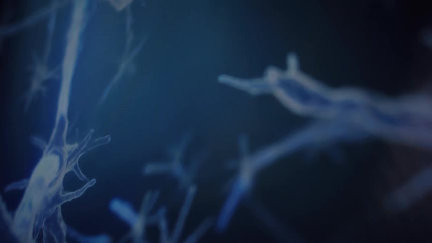 A close-up animated visualization shows a glowing blue signal traveling along a neural pathway