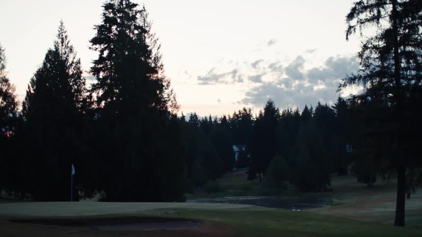A serene golf course putting green with a flag sits quietly at dawn, surrounded by a dense evergreen forest and a small pond