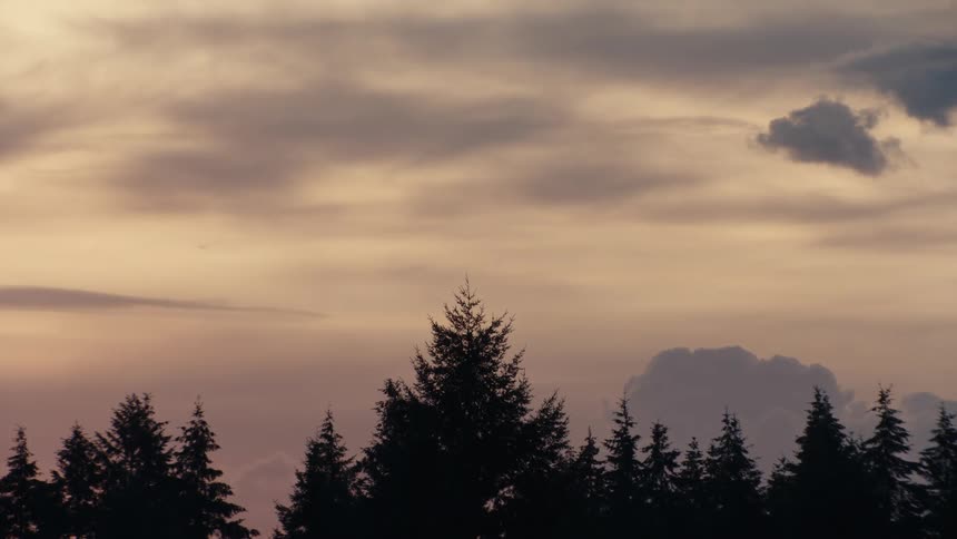 The tops of silhouetted evergreen trees stand against a moody, cloud-filled sunset sky