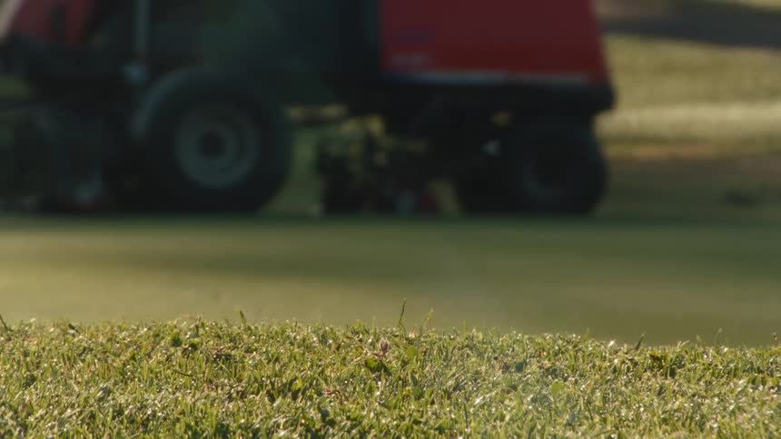 Selective focus shot of a manicured golf course turf with a large mower cutting the fairway in the background