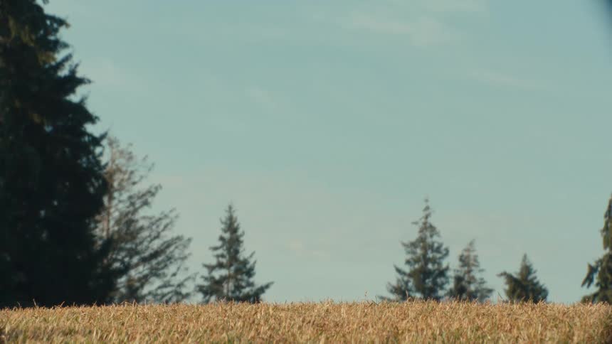 A dramatic low-angle shot captures the tires of a heavy tractor rolling across a sunlit grassy field
