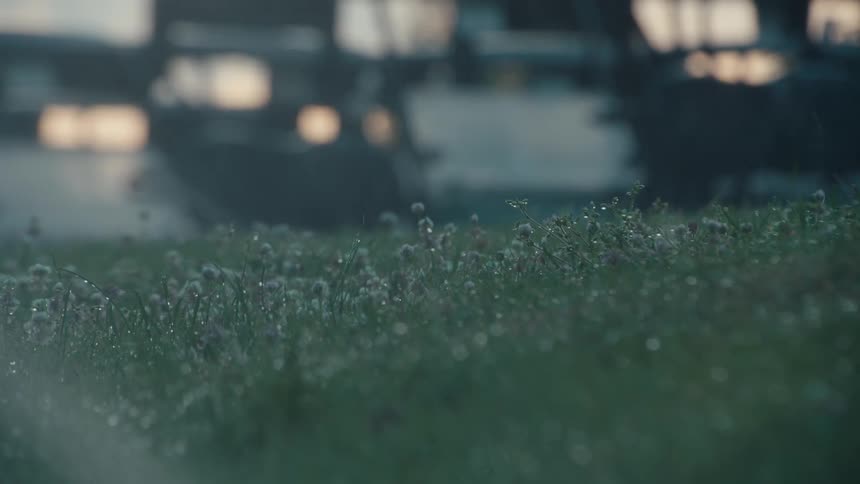 Gentle rain showers a lush field of green grass and clover, creating a peaceful and moody scene with soft focus and distant traffic