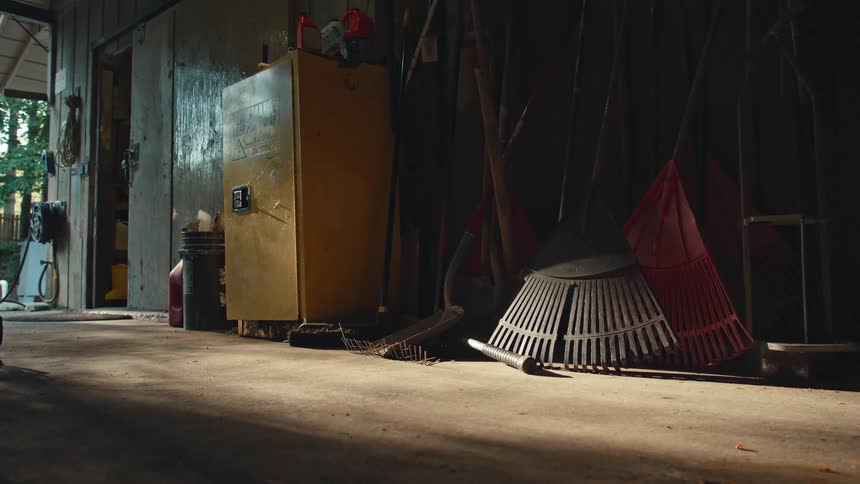 A collection of rakes and yard tools rest in a sunlit corner of a quiet, rustic shed