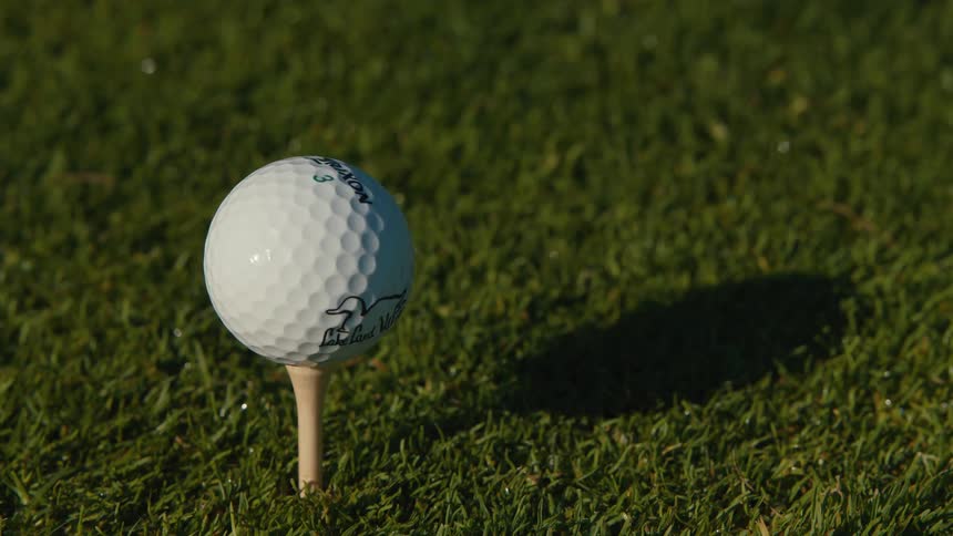 A golfer carefully places a golf ball on a wooden tee on a pristine green lawn, preparing for a shot