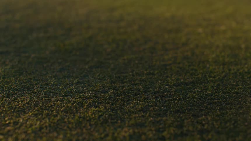 Slow motion close-up of a putter striking a golf ball on a perfectly manicured green during golden hour