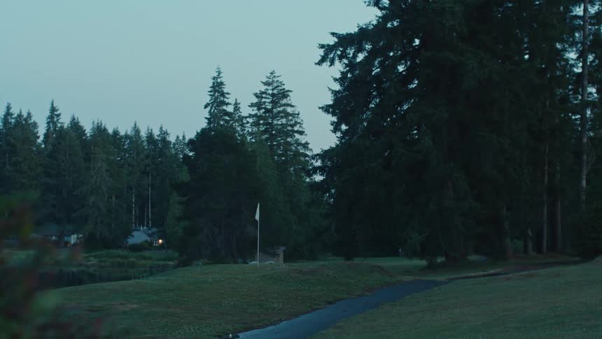 A deer calmly emerges from an evergreen forest and walks across a golf course green at dusk