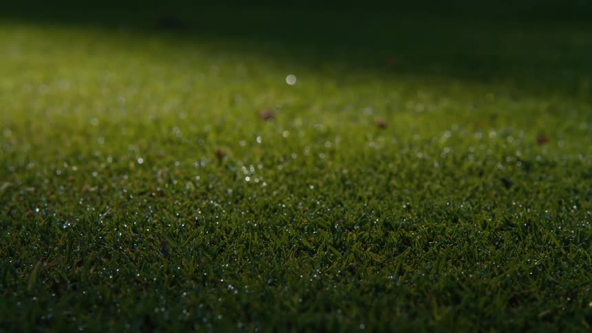 Sunlight sweeps across dew drops on blades of green grass, followed by creeping shadows