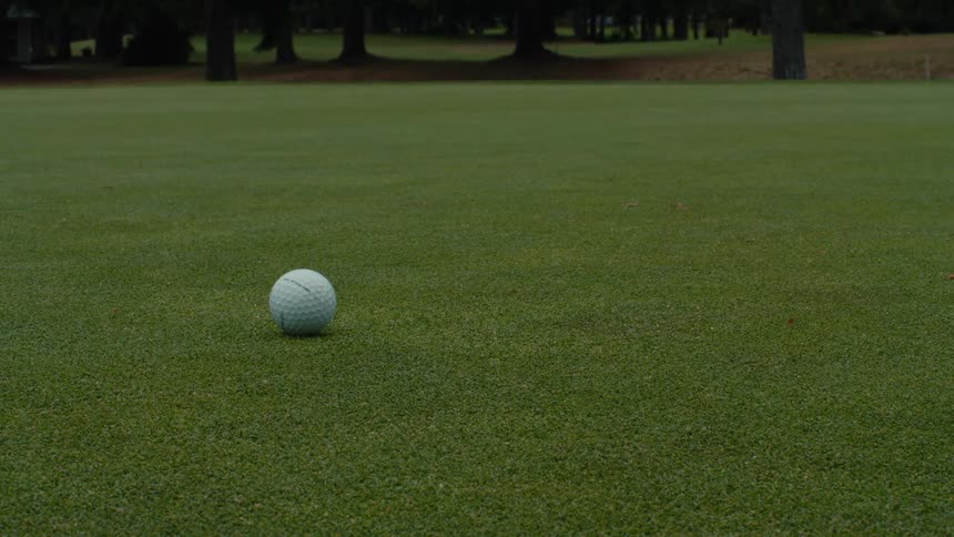 A white golf ball rolls across the green turf of a golf course and stops