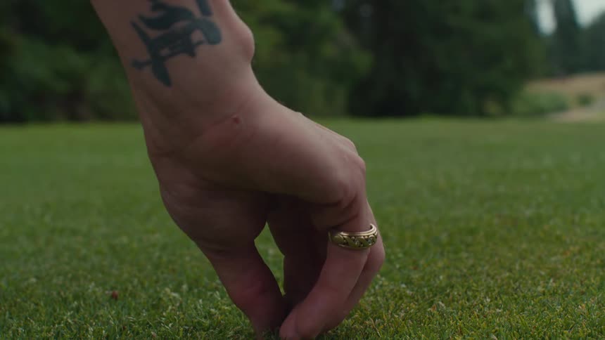 A close-up of a person's tattooed hand pulling a weed from a lush green lawn on a golf course