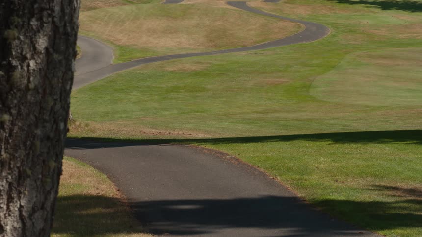 Two golfers drive a golf cart down a winding path on a lush green course on a sunny day