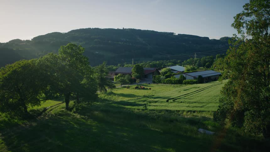 A picturesque farmstead with solar panels is nestled among lush green fields and rolling hills, basking in the warm light of the late afternoon sun