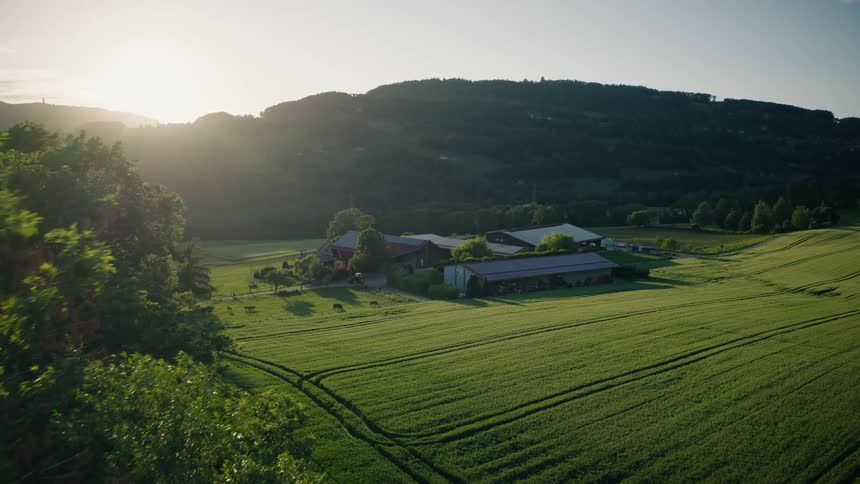 An aerial shot reveals a beautiful farm surrounded by green fields and rolling hills during a golden sunset