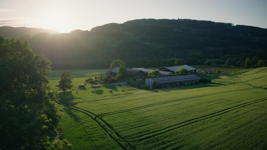 A tranquil aerial shot pushes past a leafy tree to reveal a beautiful farmstead surrounded by green fields and rolling hills during a golden sunset