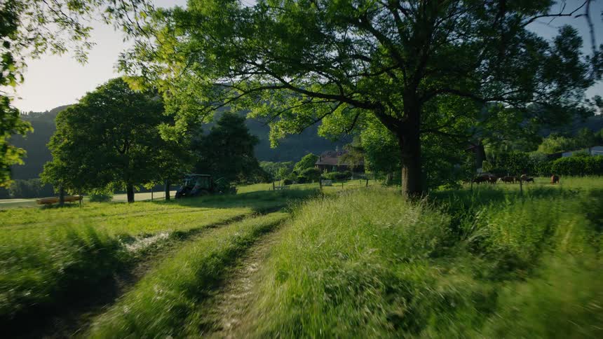 Moving along a sun-dappled grassy path through the trees towards an idyllic farm in the rolling countryside