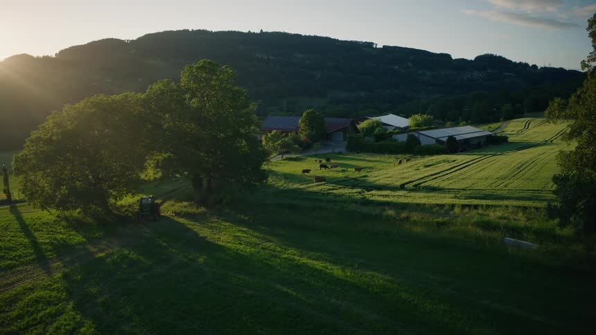 A scenic aerial view shows a tractor parked by a large tree on a rural farm with grazing cows in a green valley at sunset