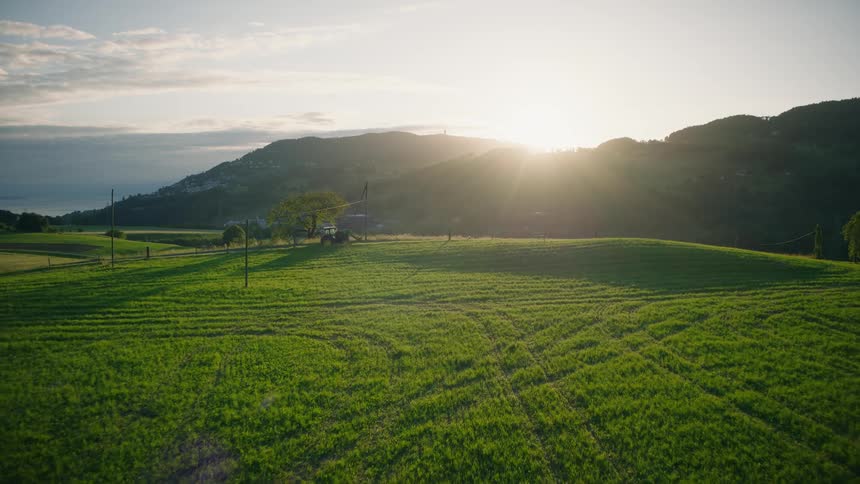 Aerial drone footage flies over a lush green farm field towards a working tractor during a beautiful golden hour sunset