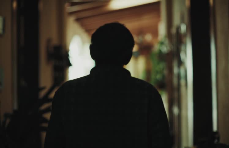 The back of a silhouetted man standing motionless in a dimly lit, atmospheric hallway