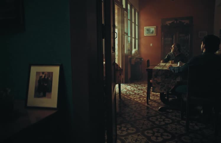 An elderly man animatedly recounts a story to a younger man in a vintage, sun-drenched dining room