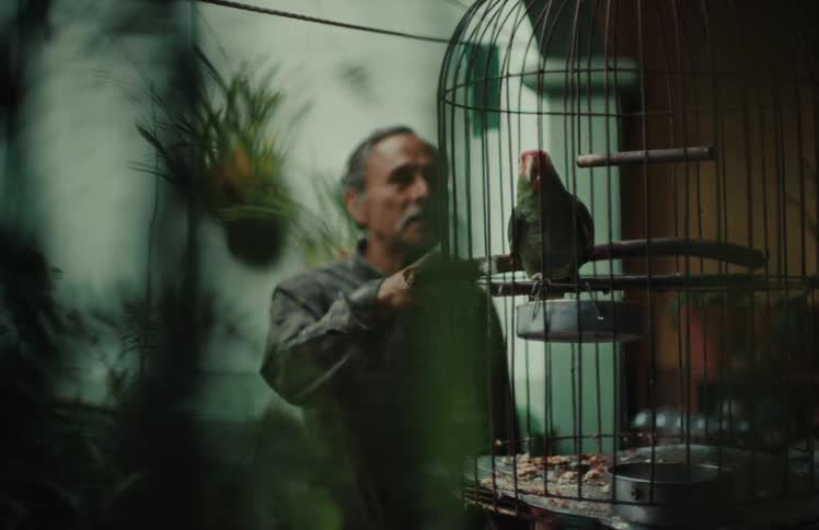 An elderly man with a mustache interacts with his pet parrot in a cage in a dimly lit, plant-filled room