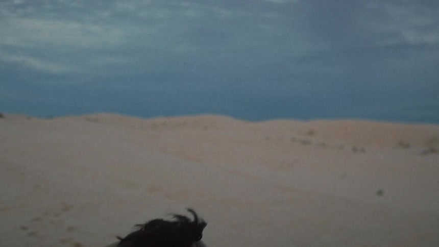 A distraught woman wearing a brown jacket has an emotional breakdown and screams in a desolate desert landscape at dusk