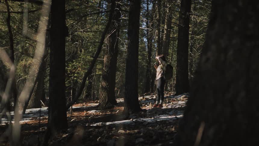 A solo female hiker with a backpack stops to take pictures with her camera in a sun-dappled winter forest