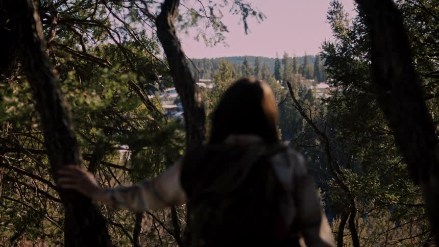 A hiker with a backpack stands on a wooded hillside, looking out at a distant snowy landscape