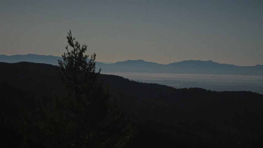 A tranquil mountain vista at twilight features a silhouetted pine tree in the foreground and a fog-filled valley in the distance