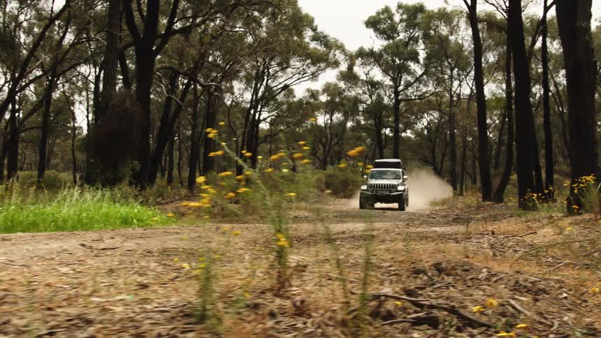 A rugged 4x4 SUV kicks up dust as it drives along a dirt track through a forest, passing yellow wildflowers