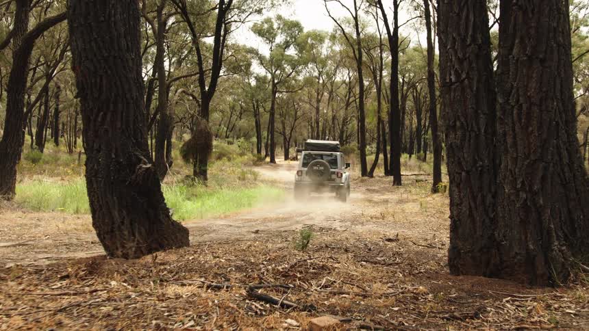Slow push-in shot of a silver 4x4 vehicle driving away on a dusty track through a thick forest