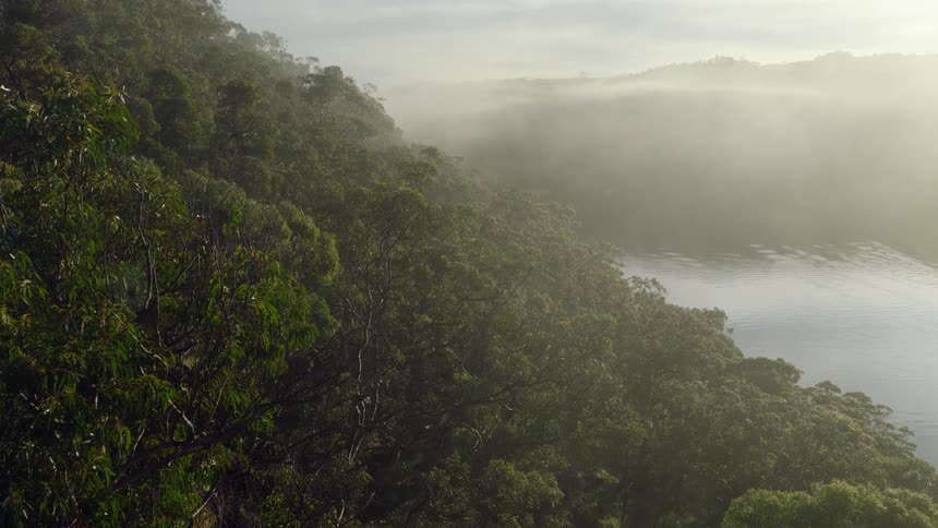 A slow zoom out reveals a vast, dense forest next to a tranquil river covered in a thick morning mist