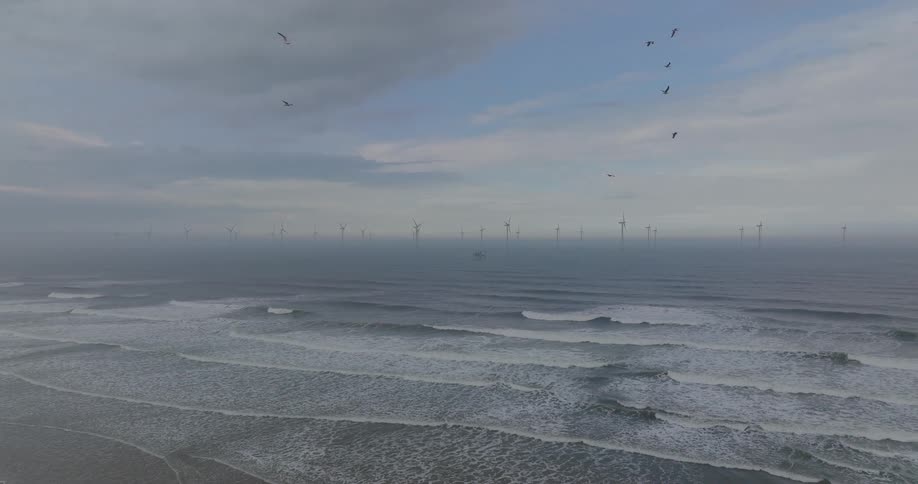 A vast offshore wind farm stands in the misty ocean as waves roll towards the shore and seagulls fly under an overcast sky