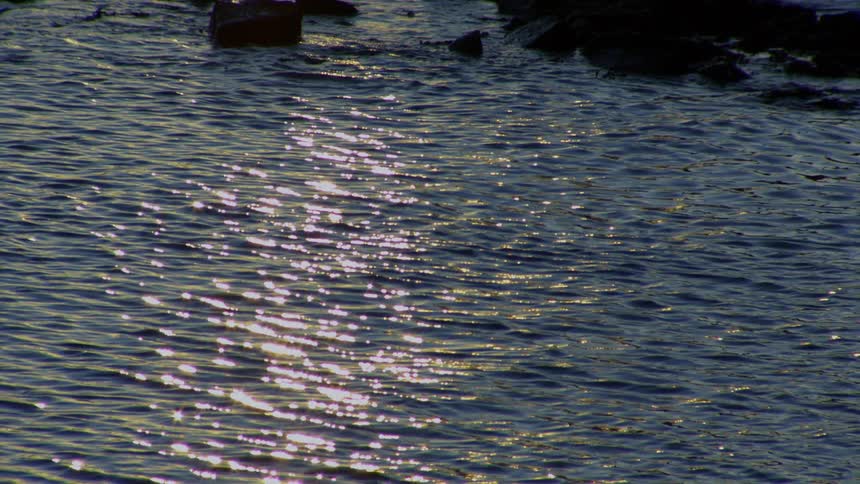 Sunlight glitters and sparkles on the surface of gently rippling water at dusk