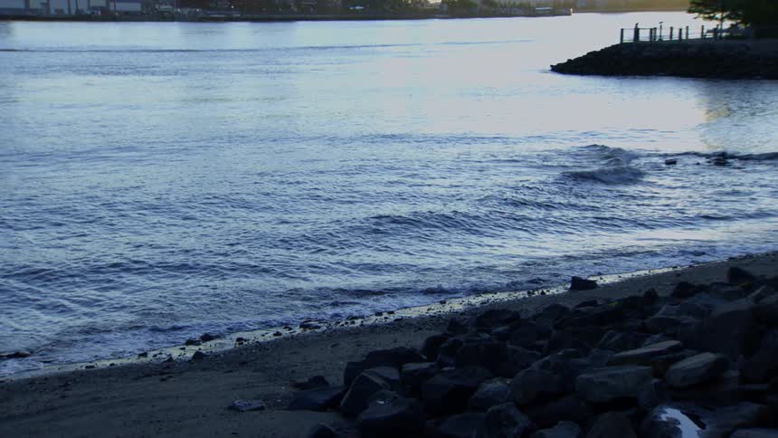 A small bird playfully splashes and flies in the gentle waves of a river at sunset, captured in serene slow motion