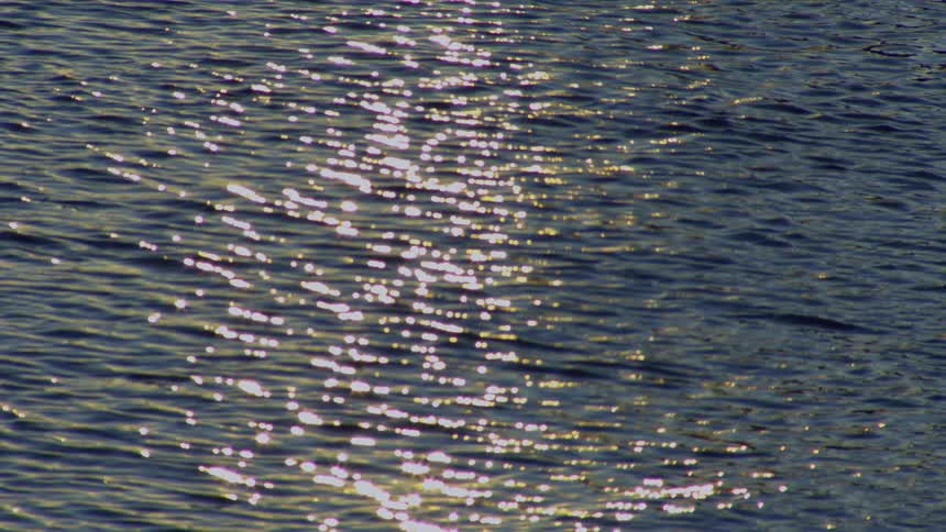 Golden sunlight sparkles and glitters on the calm, dark blue surface of the water