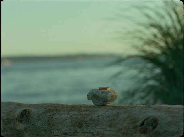 A single gold wedding band rests on a weathered rock sitting on driftwood with the ocean in the background at sunset