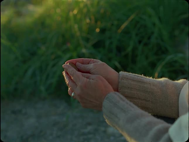 Close-up of a person's weathered hands holding a small, round stone in the warm glow of the golden hour