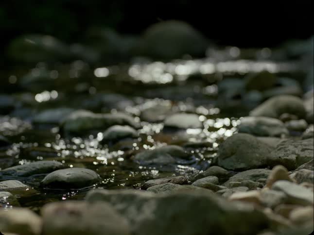 A rack focus shot reveals a tranquil stream with sunlight glistening on the water as it flows over rocks