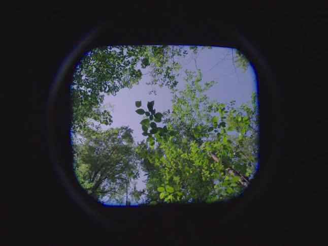 A stylized view through a circular lens looks up at green tree leaves against the sky with dreamy, distorted zoom effects